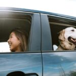 Young Woman Drives Car With Dog in Back Seat