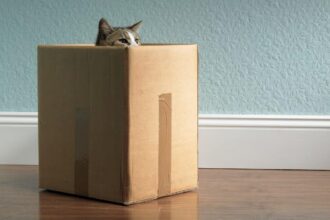 Recently released: May's small-cap stock recommendation [PREMIUM PICKS]