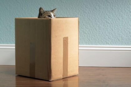 Recently released: May's small-cap stock recommendation [PREMIUM PICKS]