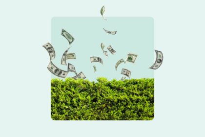 What Is Hedging? Definition And How It Works