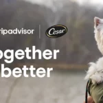 Mars Petcare, Tripadvisor team to solve pet owners’ travel headaches