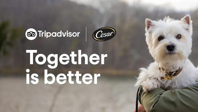 Mars Petcare, Tripadvisor team to solve pet owners’ travel headaches