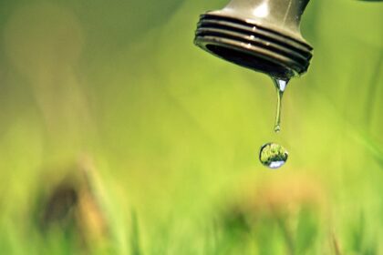What is a Dividend Reinvestment Plan (DRIP)?