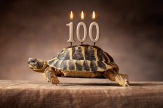 There’s Now a 100-Year CD. Here’s What You Should Know