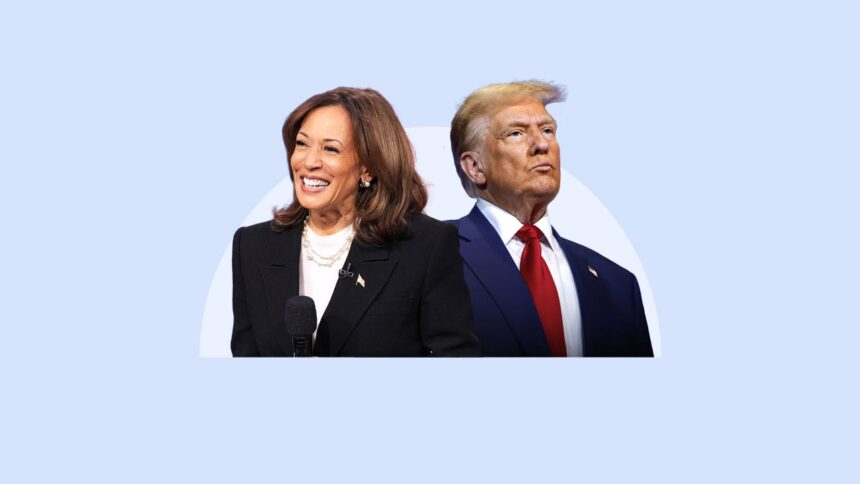 Harris and Trump have a lot of promises for small businesses. How many of them are realistic? -What Harris, Trump want for small businesses