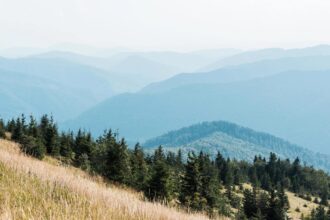 16 Best Side Hustles for Retirees